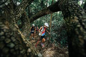 BIB: 
                            <button type="button" onclick="openModal(25392172)" class="btn btn-primary btn-sm float-right btn-popup" data-toggle="modal" data-target=".modal-high-quality">
                        <i class="fas fa-shopping-cart"></i> Add to Cart
                    </button>
                                            <button type="button" onclick="isThisMe(25392172, true)" class="btn btn-success btn-sm float-right btn-popup btn-isme hidden" data-toggle="tooltip" data-placement="bottom" title="นี่คือรูปของคุณใช่ไหม คลิกที่นี่เพื่อเอาเข้าอัลบั้ม">
                        <i class="fas fa-plus"></i> Add to album
                    </button>
                    <button type="button" onclick="isThisMe(25392172, false)" class="btn btn-warning btn-sm float-right btn-popup btn-isnotme hidden">
                        <i class="fas fa-ban"></i> Remove from album
                    </button>